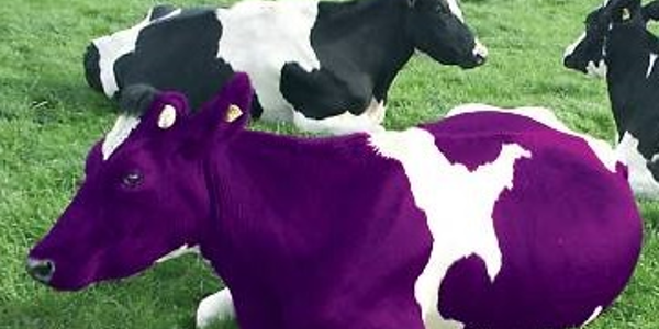 Be Like A "Purple Cow"